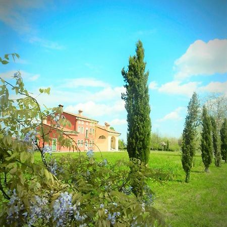 Camisano Vicentino La Casa Vecchia B&B المظهر الخارجي الصورة