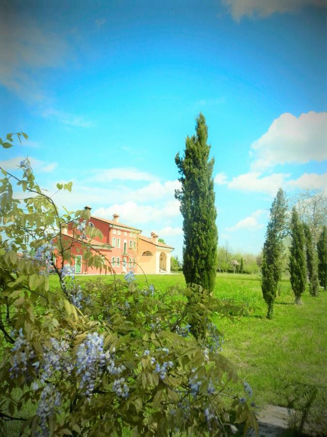 Camisano Vicentino La Casa Vecchia B&B المظهر الخارجي الصورة