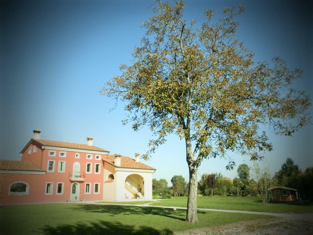 Camisano Vicentino La Casa Vecchia B&B المظهر الخارجي الصورة
